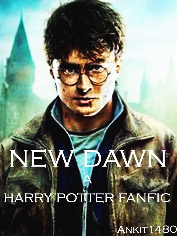 New Dawn- A Harry Potter Transmigration Fanfic Book