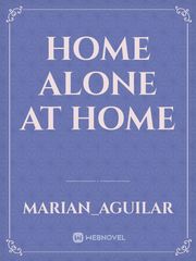 Home Alone at home Book
