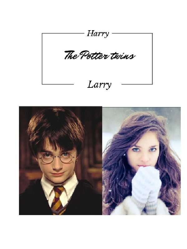 Harry and Larry: The Potter twins