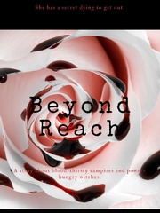 Beyond Reach Book