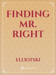Finding Mr. Right Book