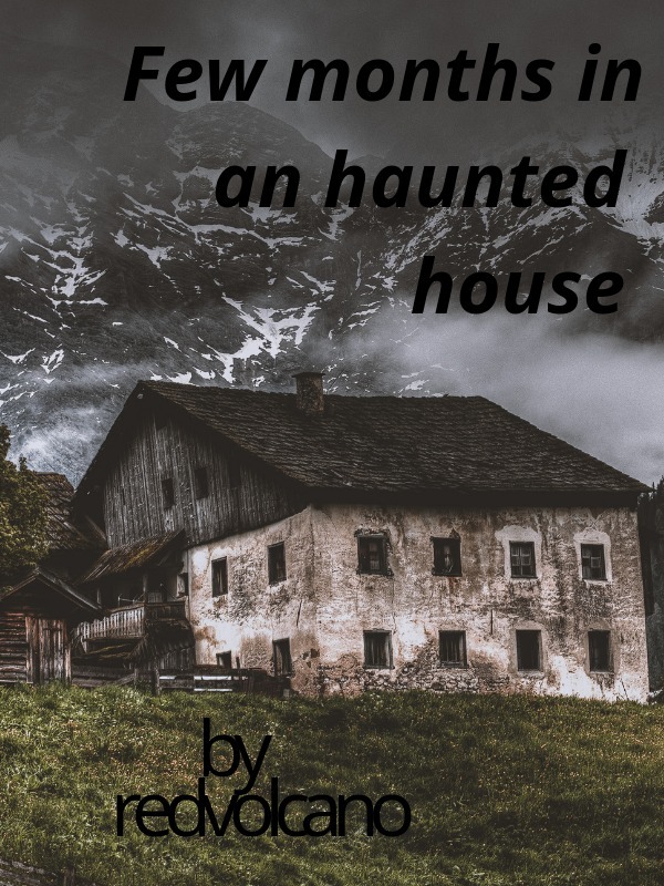 A few months in an haunted house Book
