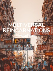 Multiversal Reincarnations Book