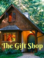 The Gift Shop Book