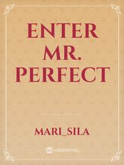 Enter Mr. Perfect Book