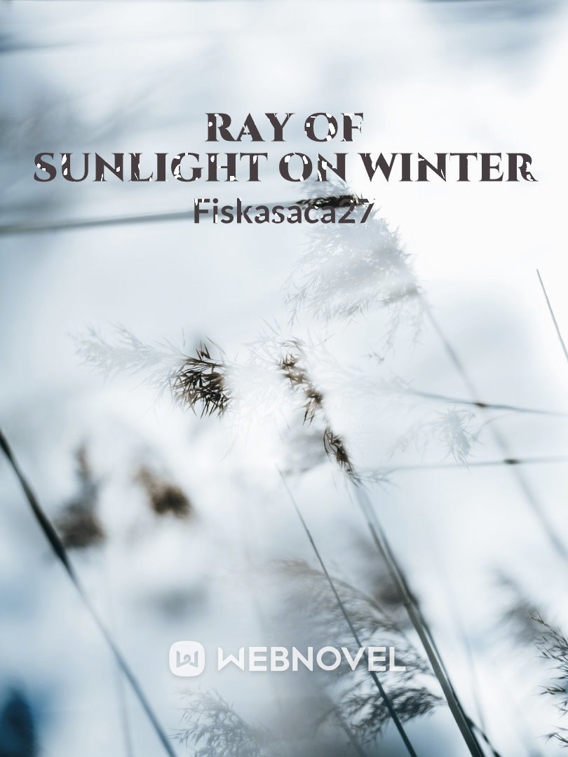Ray of sunlight on winter Book