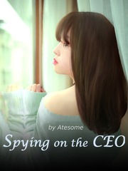 Spying on the CEO Book