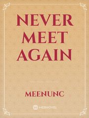 Never Meet Again Book
