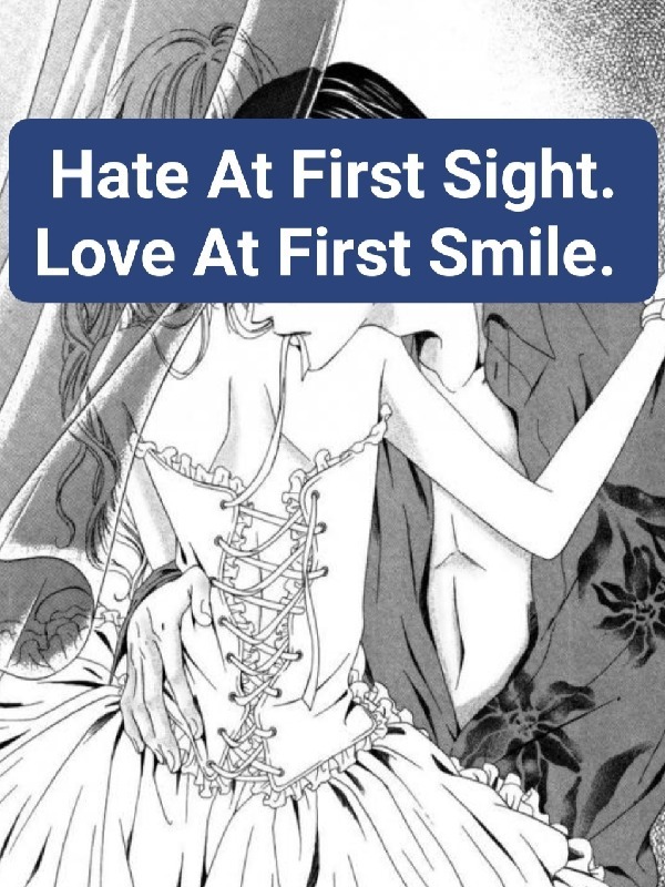Hate At First Sight. Love At First Smile. Book
