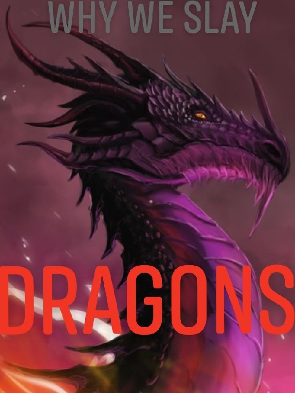 Why We Slay Dragons Book