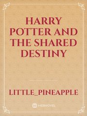 HARRY POTTER AND THE SHARED DESTINY Book