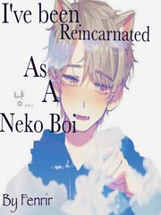 I've Been Reincarnated as a Neko Boi Book
