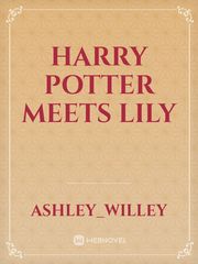 Harry Potter meets Lily Book