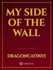 My side of the wall Book