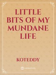 Little Bits Of My Mundane Life Book