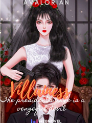 Villainess 101: The President's wife is a vengeful devil Book