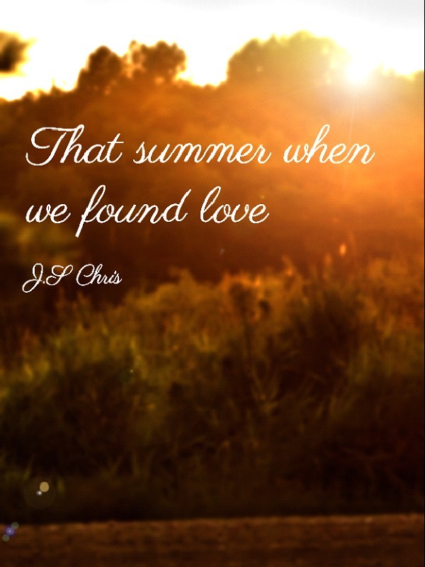 That summer when we found love Book