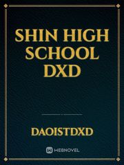 SHIN HIGH SCHOOL DXD Book