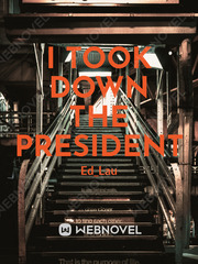 I TOOK DOWN THE PRESIDENT Book