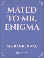 Mated to Mr. Enigma Book