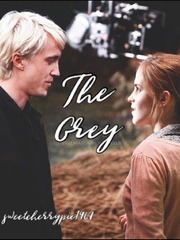 The Grey (Dramione) Book
