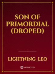 Son of Primordial (droped) Book