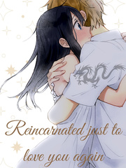 Reincarnated, just to love you again Book