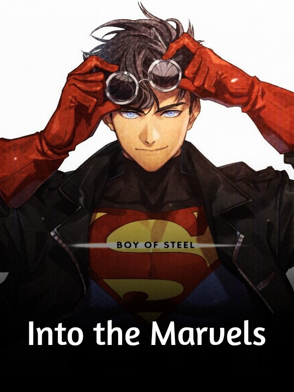 Into the Marvels Book