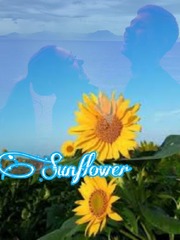 sun flower Book
