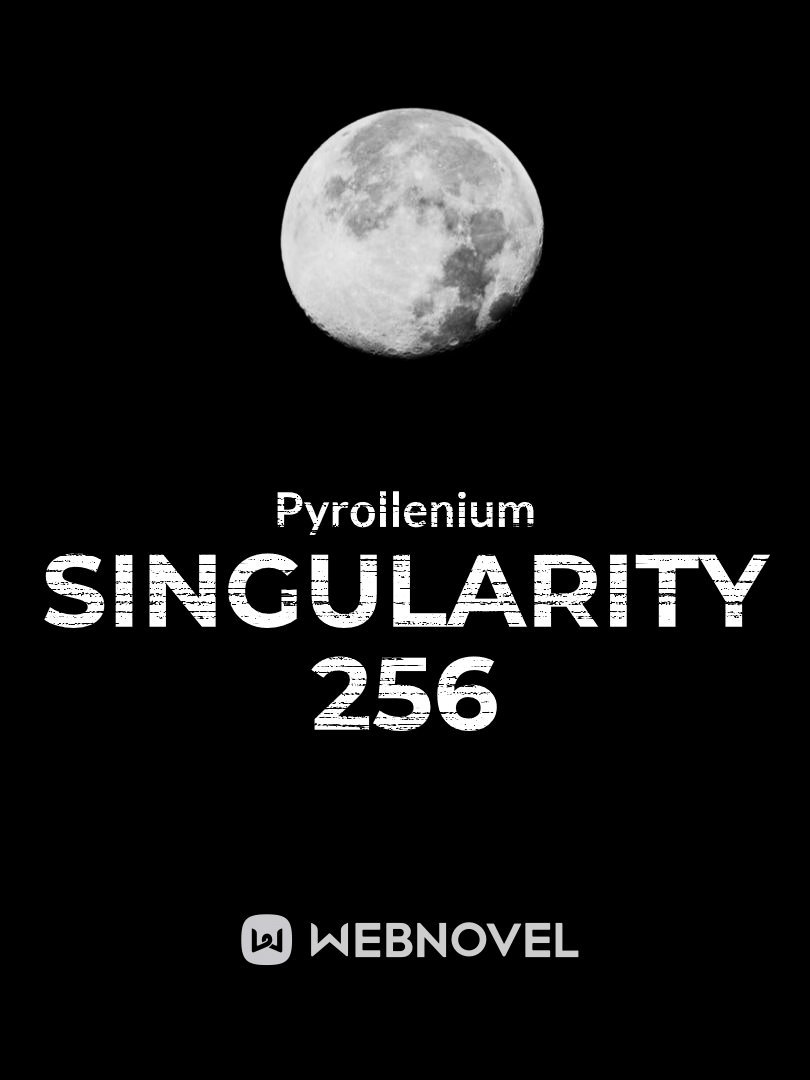 Singularity 256 (Paused for the foreseeable future) Book