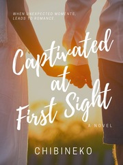 Captivated at First Sight Book