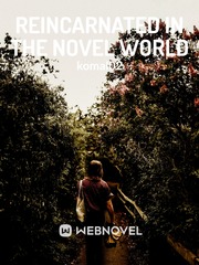Reincarnated in the Novel World Book