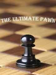 The Ultimate Pawn Book