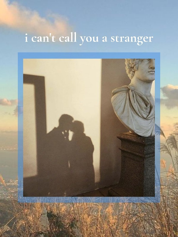 i can't call you a stranger Book