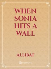 When Sonia Hits A Wall Book