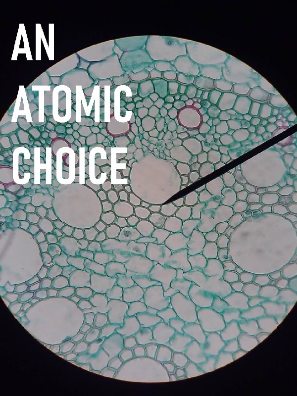 An Atomic Choice Book