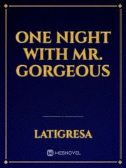 One Night with Mr. Gorgeous Book