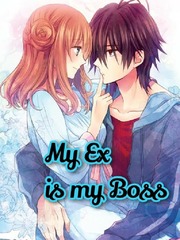 My Ex is My Boss Book