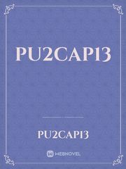 Pu2CAp13 Book
