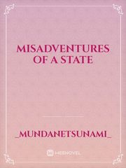 Misadventures of a state Book