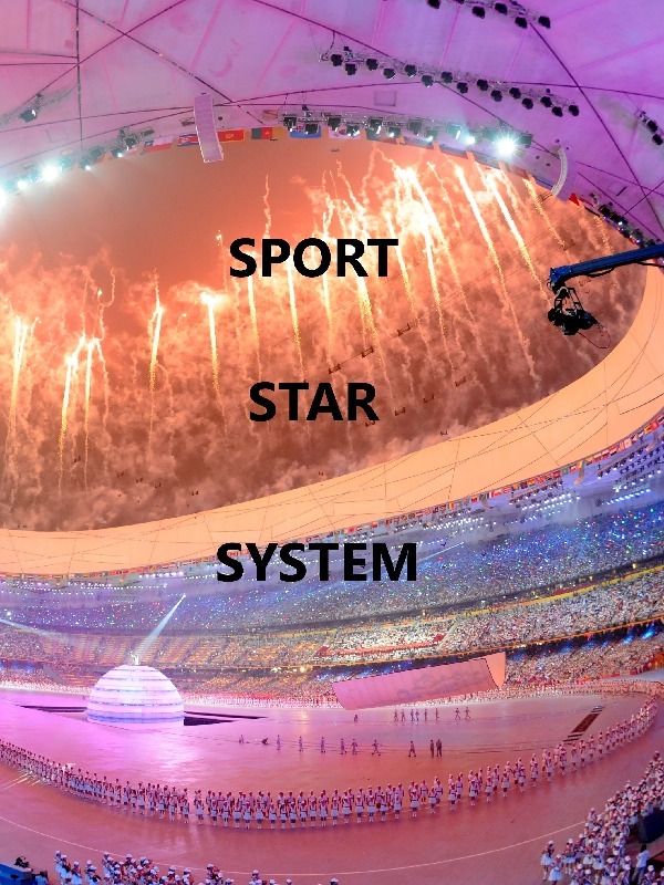 SPORTS STAR SYSTEM Book