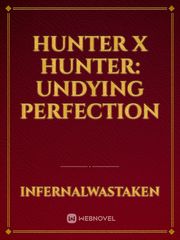 Hunter X Hunter: Undying Perfection Book