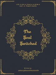 The Soul Switched Book