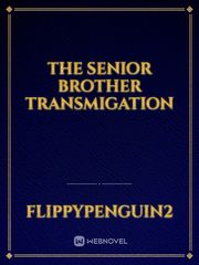 The senior brother transmigation Book