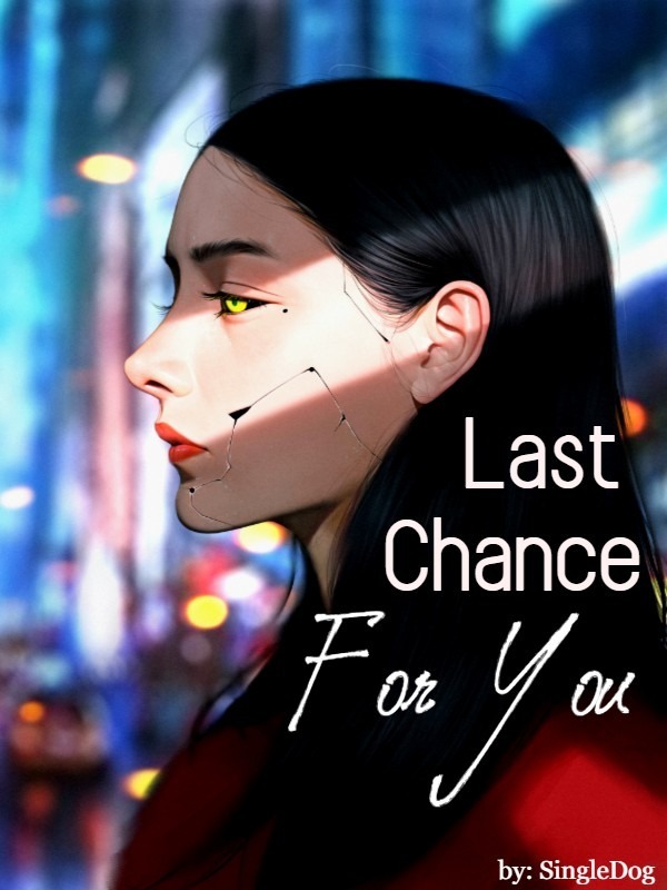 Last Chance For You Book