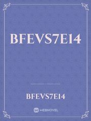 bFEVS7e14 Book