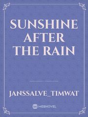 Sunshine After The Rain Book
