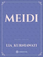 MEIDI Book