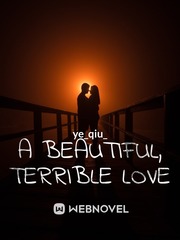 A Beautiful, Terrible Love Book