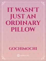 It Wasn't Just An Ordinary Pillow Book